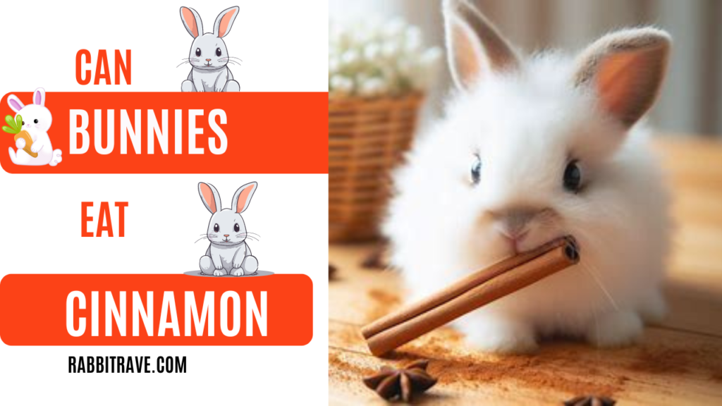 can rabbits eat cinnamon