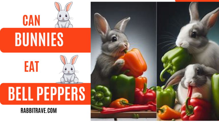 can rabbits eat bell peppers