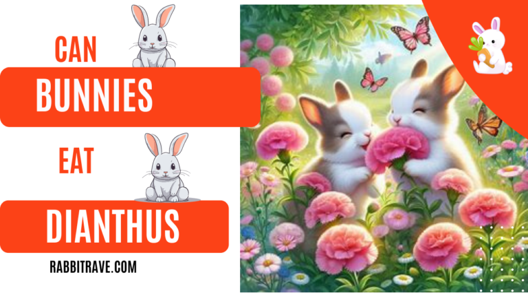 do rabbits eat dianthus