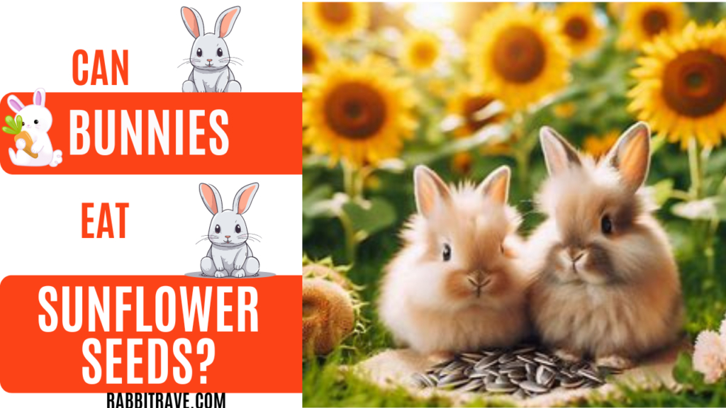 can rabbits eat sunflower seeds